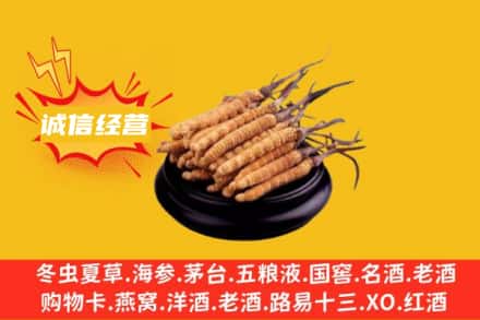 南昌回收冬虫夏草